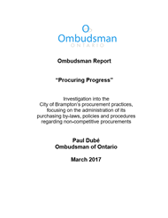 cover of Procuring Progress report