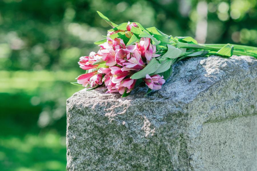 Tombstone with pink flowers resting on it Tombstone with pink flowers resting on it